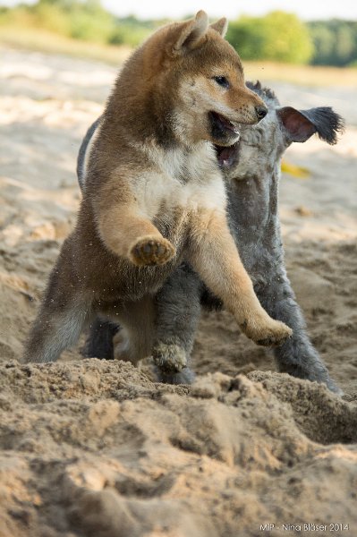 2014-07-17 Cherry & Friends-8354.jpg